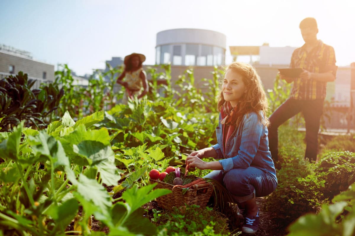 The Power of Farmer Communities in Modern Agriculture