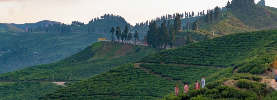 Nepal Tour Packages Cover Image