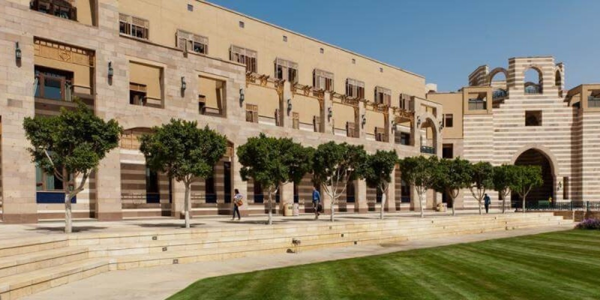 Top Specializations After MBBS in Egypt—A Compl