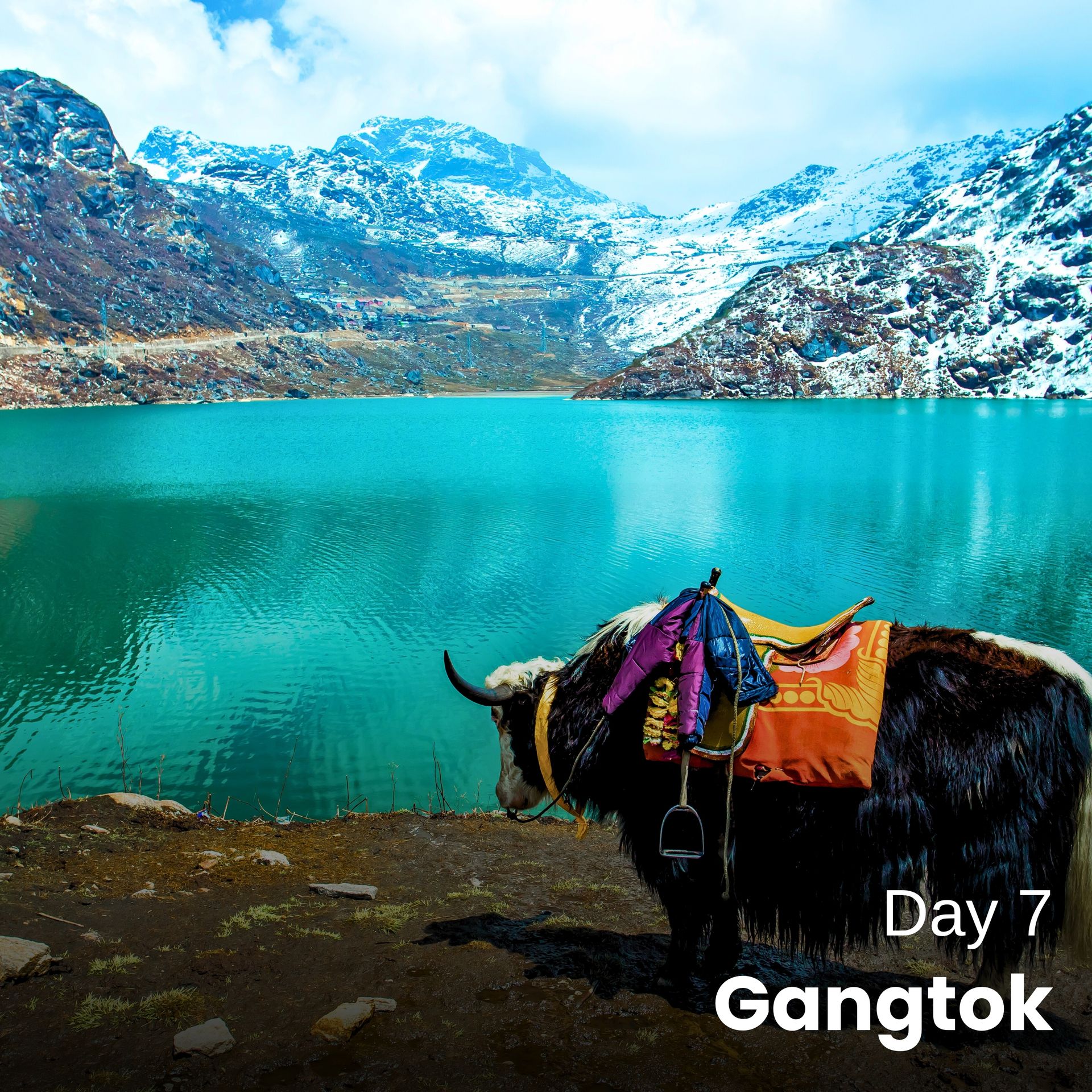Darjeeling Honeymoon Tour Package for 7 Days