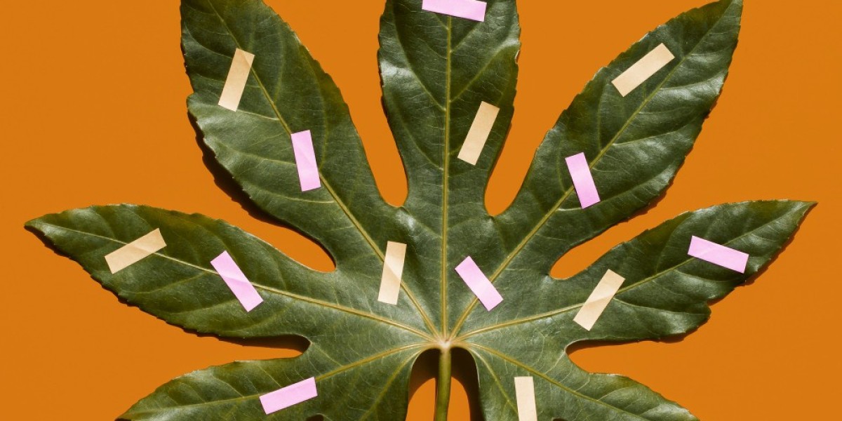 Cannabis Use Disorder Recognition: Signs, Under