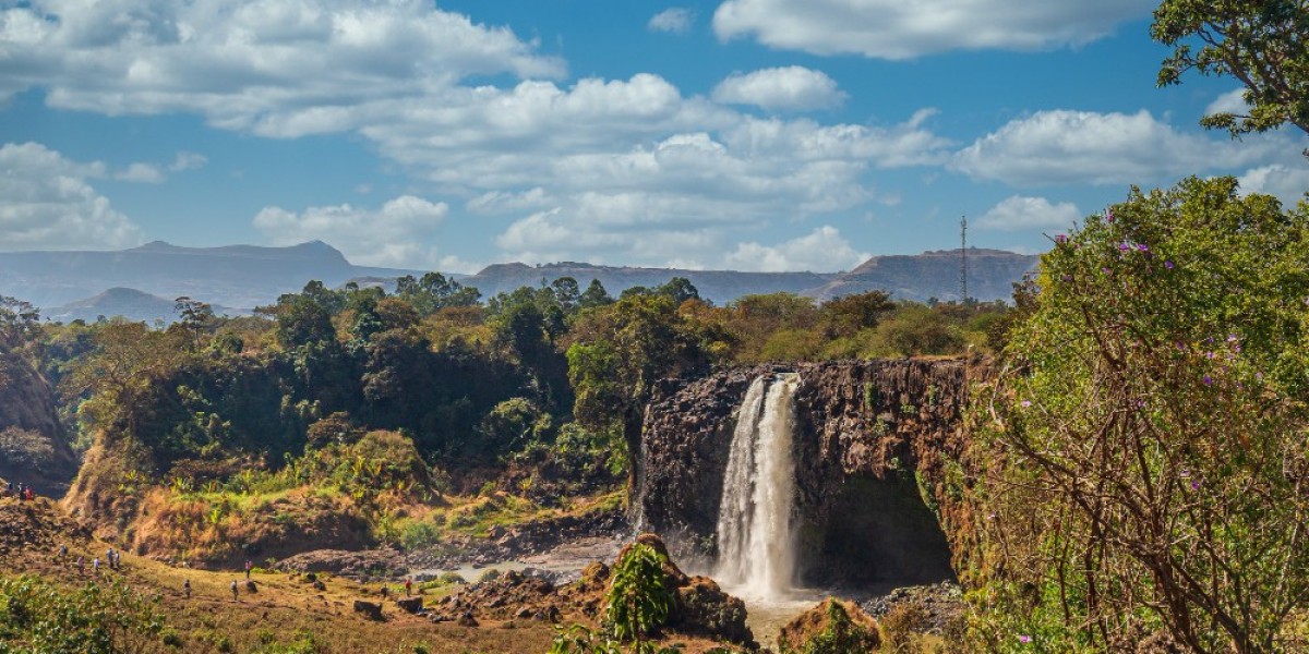 Experience the Real South Africa
