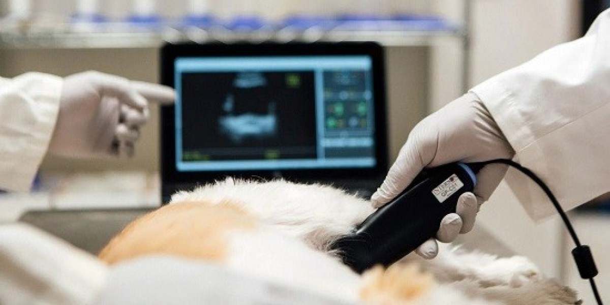 Global Veterinary Imaging Market Outlook
