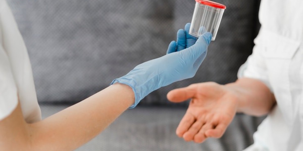 2024‑2031 Urinary Catheters Market–Segmentation