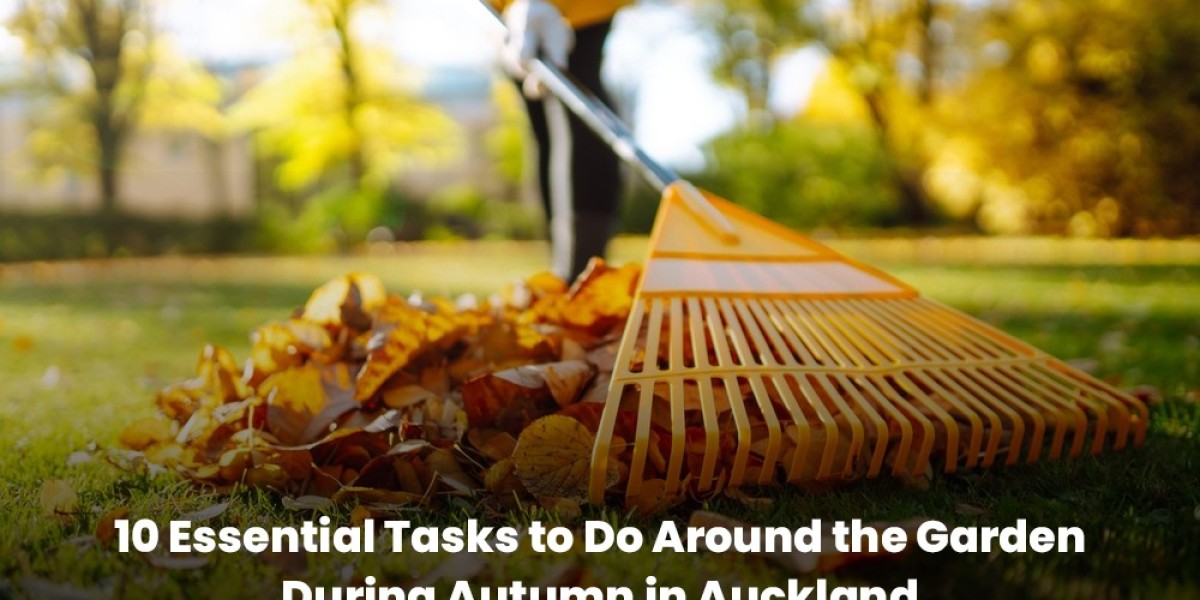 10 Essential Tasks to Do Around the Garden Duri