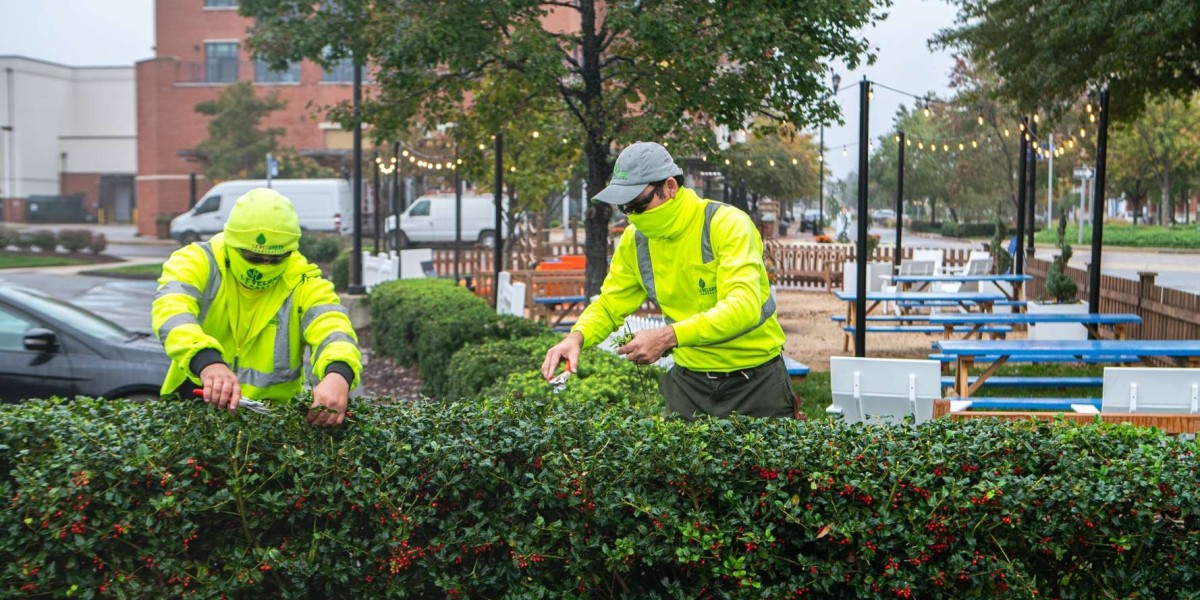How AI & Smart Irrigation Help Landscaping 2025