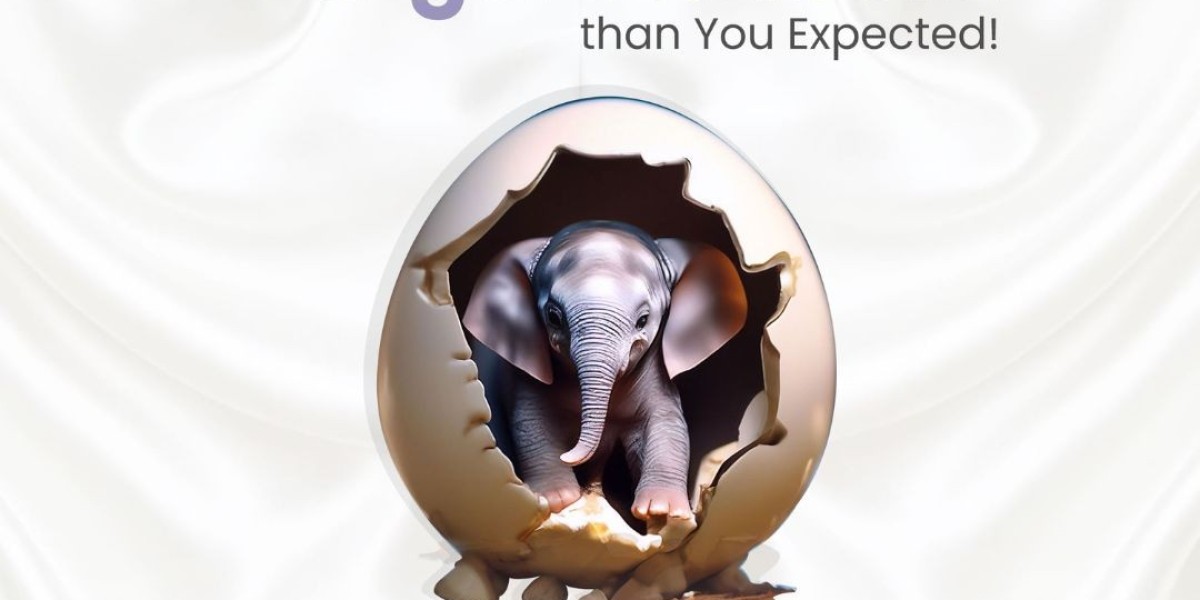 Digital Results with Easywebplans IT LLC Dubai