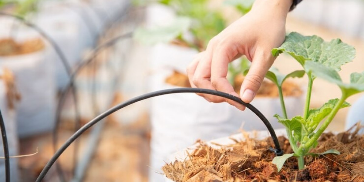 Micro Irrigation Systems Market Size & Forecast