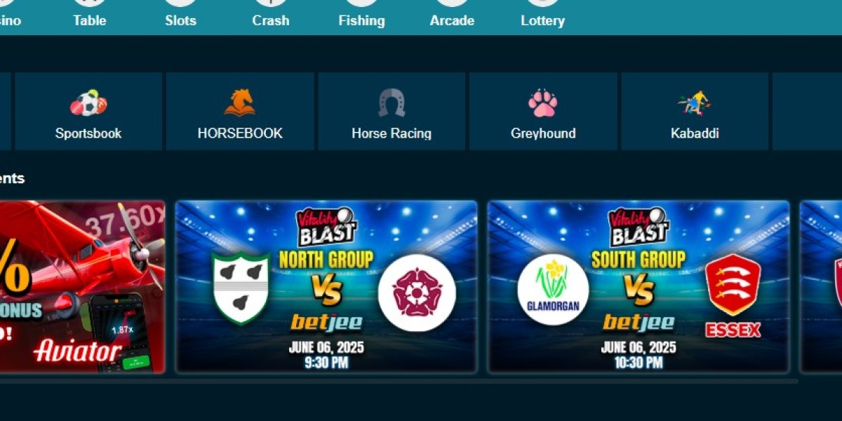 Live Cricket on Betjee: A Complete Guide for En
