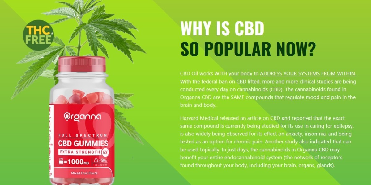 Why Are Organna CBD Gummies Popular in the USA?