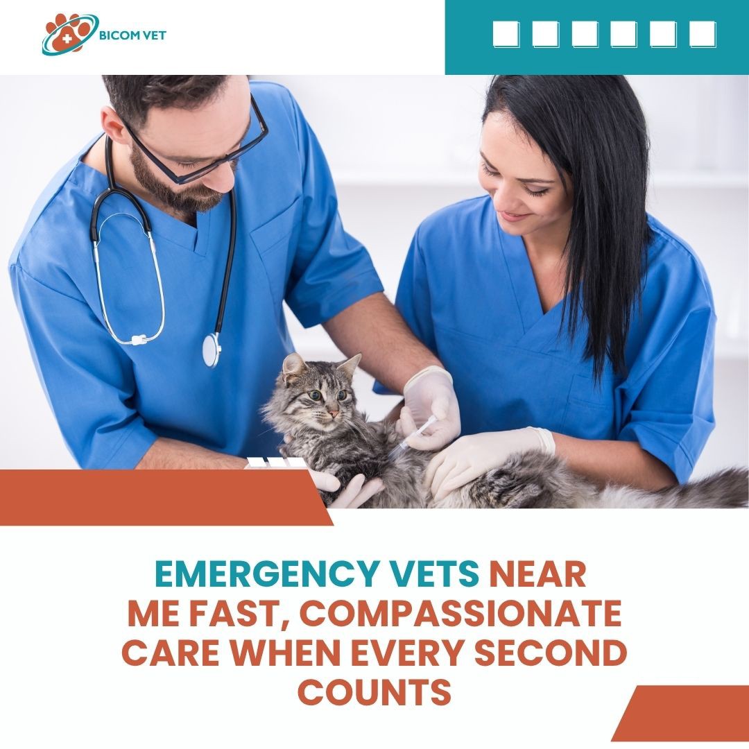Bio resonance Vet Profile Picture