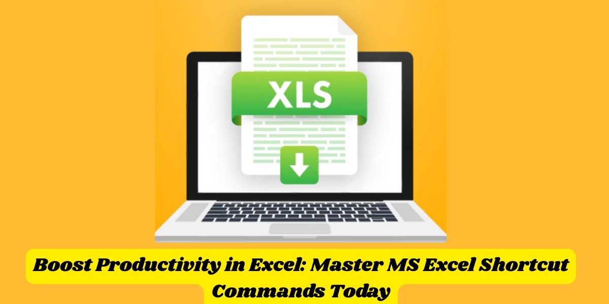 Boost Productivity in Excel: Master MS Excel