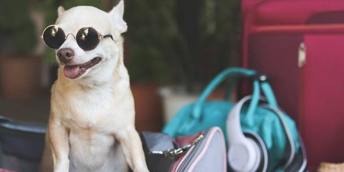 Stylish and Practical: Choosing the Right Puppy