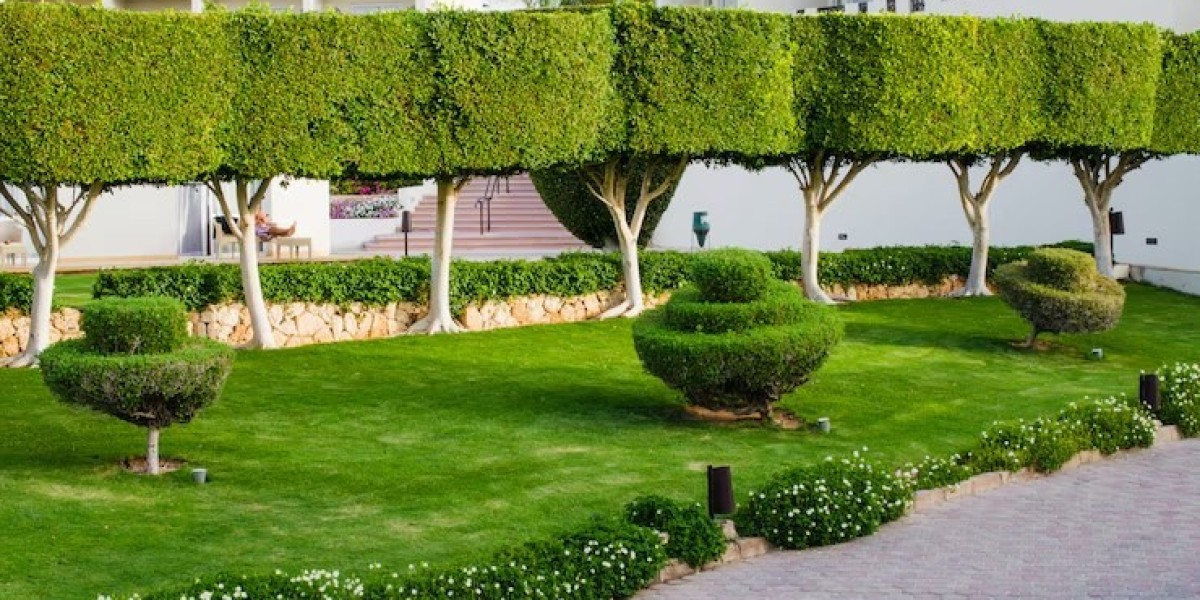 Top-Rated Landscapers In Jamestown, CO