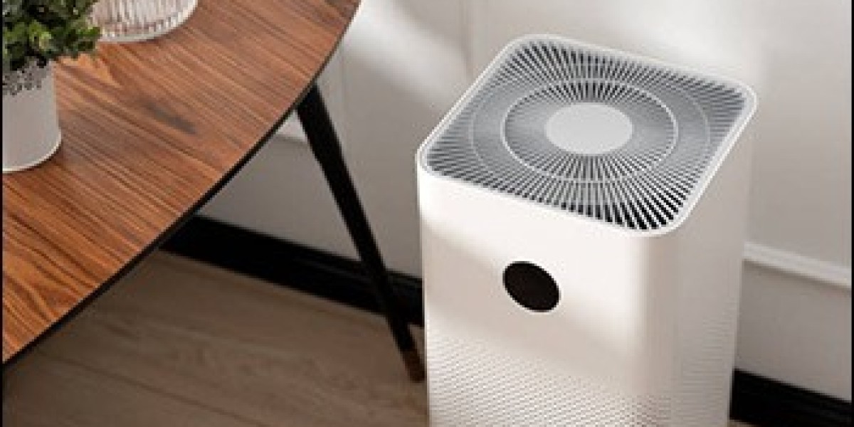 What is Fueling the Rise of the India Air Purif