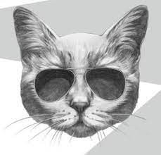 ron swon Profile Picture