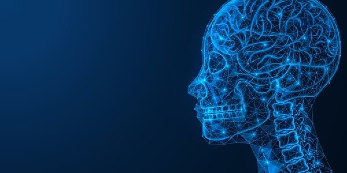 Evolving Horizons: Head & Neck Cancer Therapeut