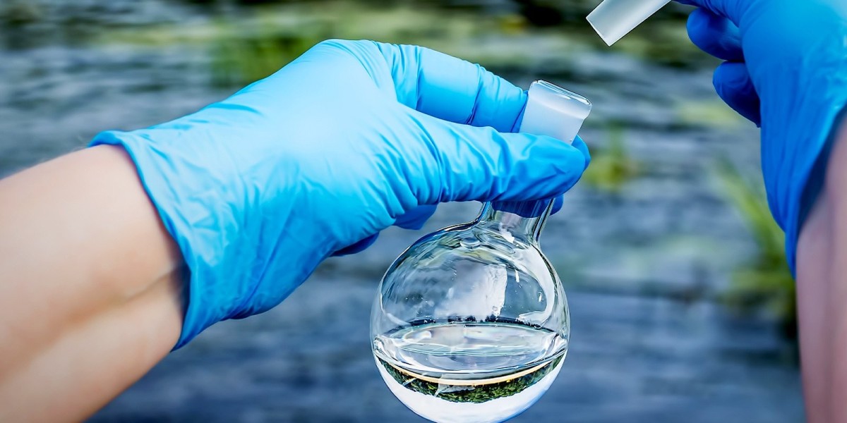Water Testing and Analysis Market 2031: Trends