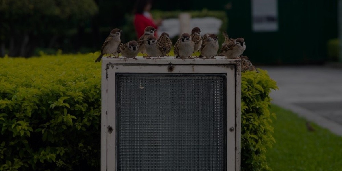 Expert Bird Control in Mississauga