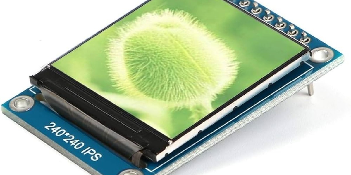 Setting Up a TFT LCD Manufacturing Plant