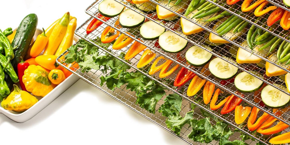 Vegetable Dehydration Processing Plant Setup