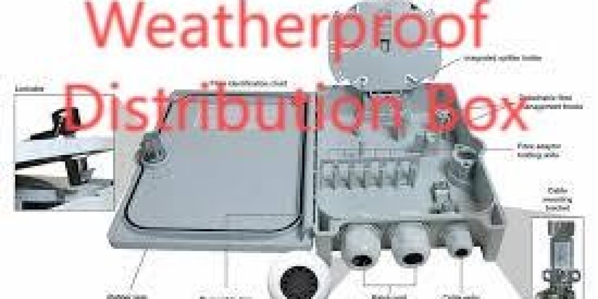 Power Excellence with nante Industrial Plug & W