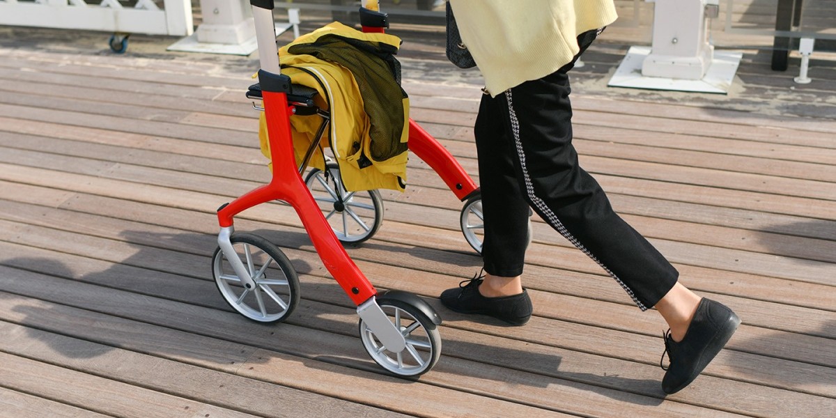 Wheel Walking Aids Market 2031: Analysis