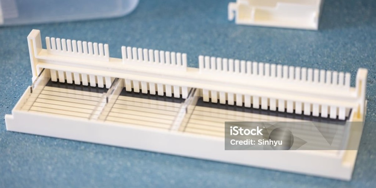 Slide Stainer Market Size & Forecast(2024–2031)