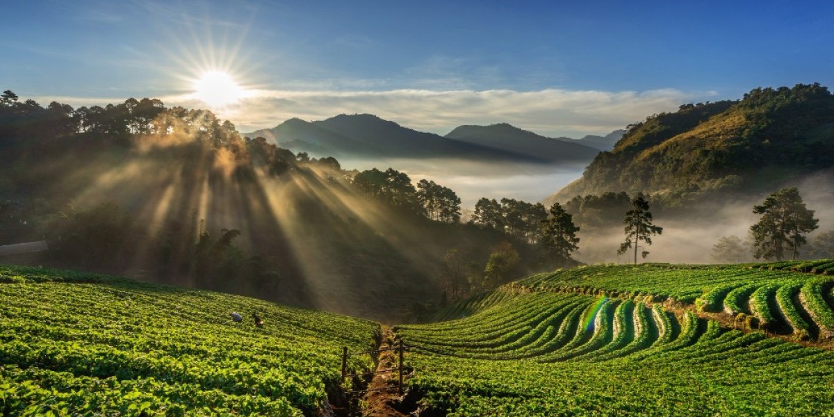 Kigali Calling: Why Rwanda Should Be Your Next
