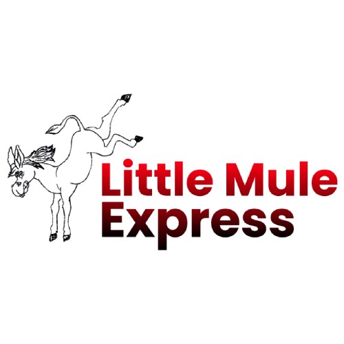 Little Mule Express LLC Profile Picture