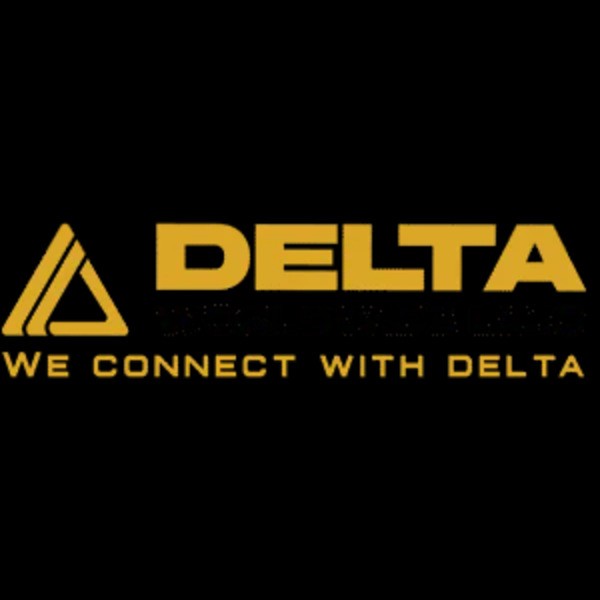 Delta Worldwide Limousine Profile Picture