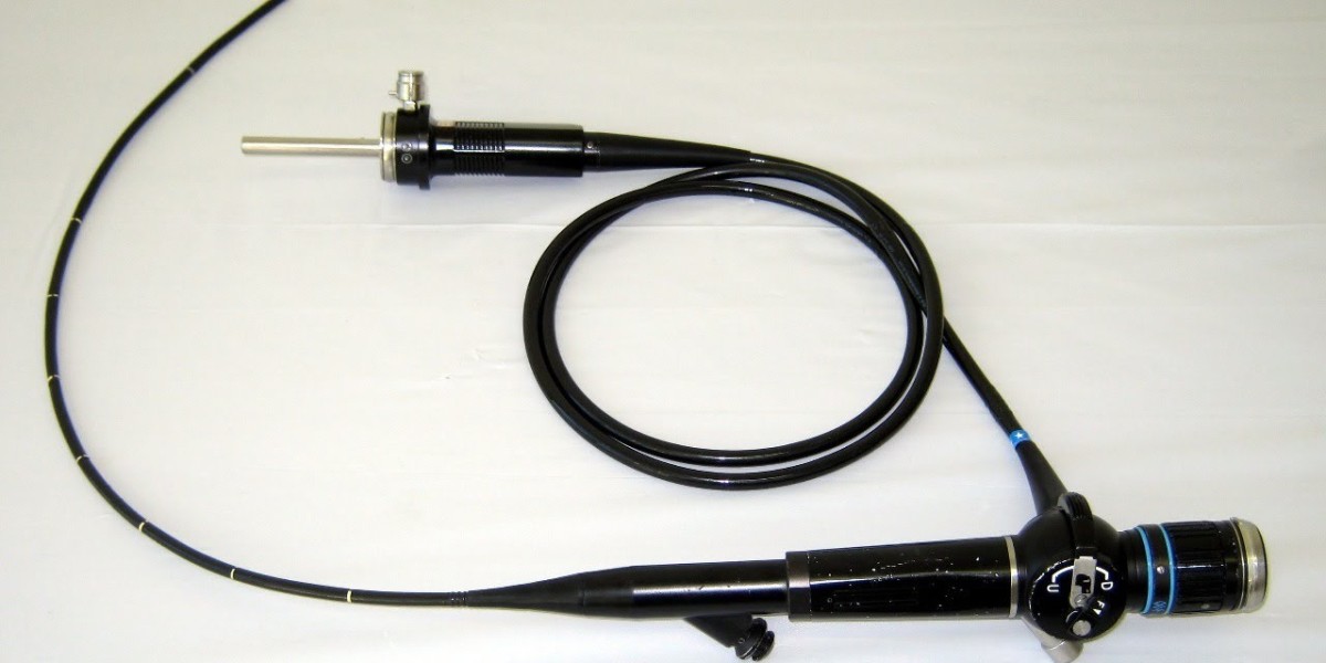 Ultrasound Endoscope Market Outlook to 2031