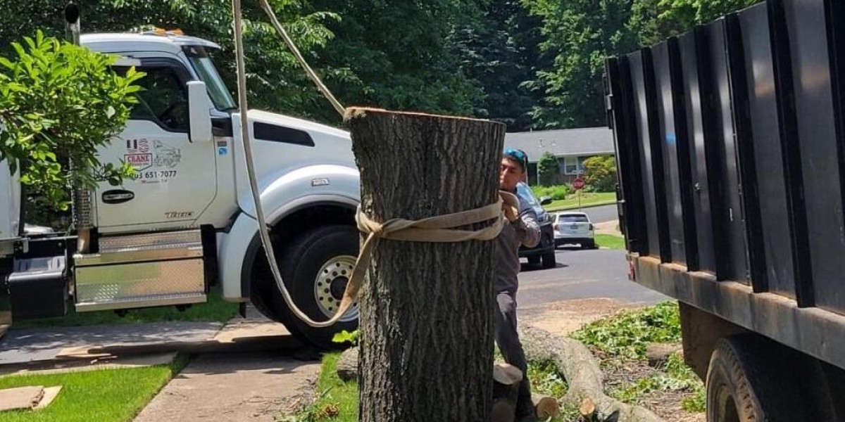 Is Tree Service Necessary for Healthy Trees?