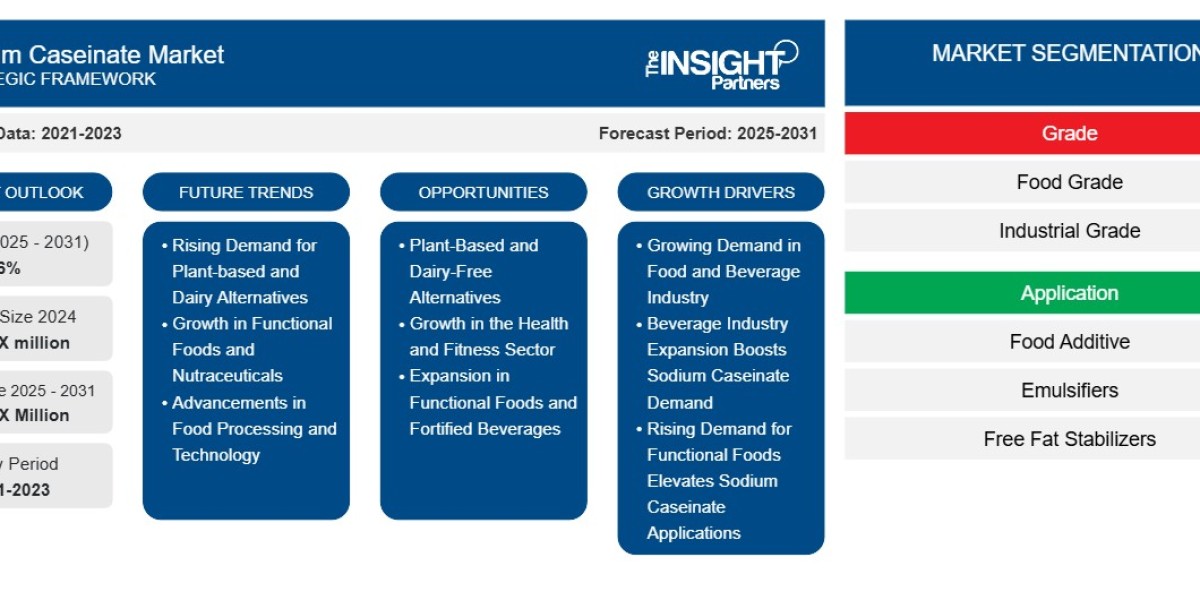 Sodium Caseinate Market Report: Unlocking