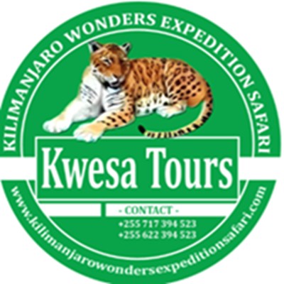 Kwesa Tours Profile Picture