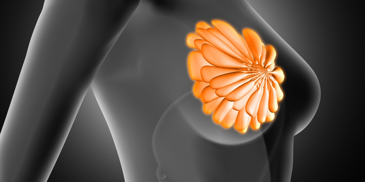 Korea Breast Augmentation Market Forecast