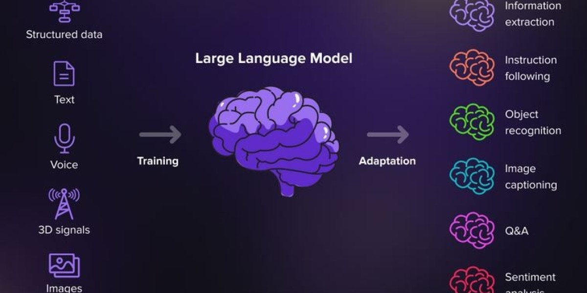 What Are LLM Models?